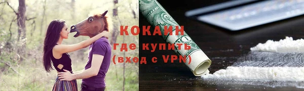 мяу мяу мука Абаза