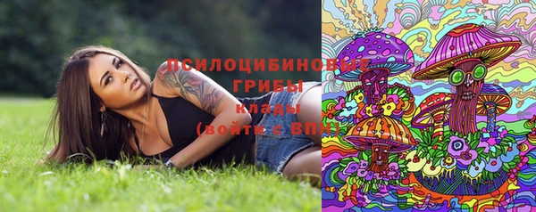 мяу мяу мука Абаза