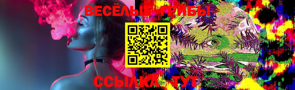 Янаул  Псилоцибиновые грибы Psilocybe  Вход с VPN 